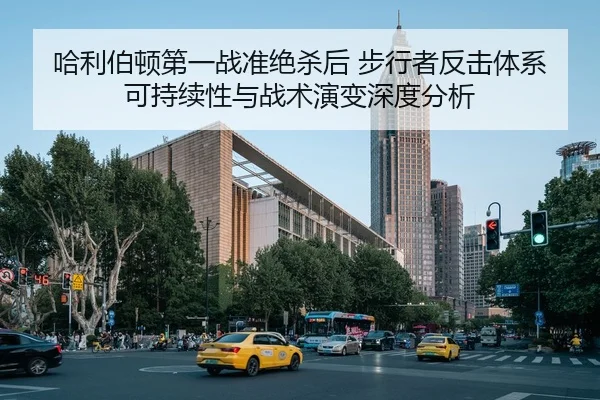 ha-li-bo-dun-di-yi-zhan-zhun-jue-sha-hou-bu-xing-zhe-fan-ji-ti-xi-ke-chi-xu-xing-yu-zhan-shu-yan-bian-shen-du-fen-xi-2-230.jpg